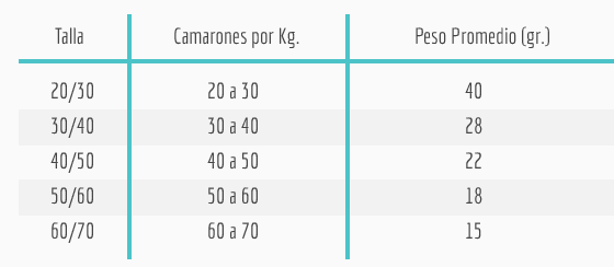 Camarón con Cabeza