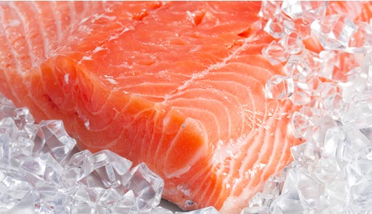 Salmón
